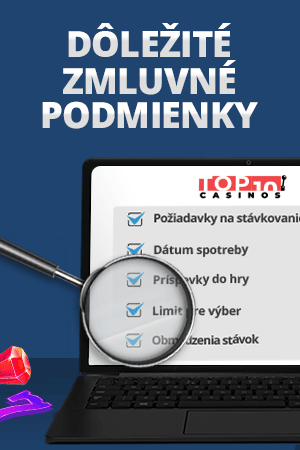 podmienky a ustanovenia